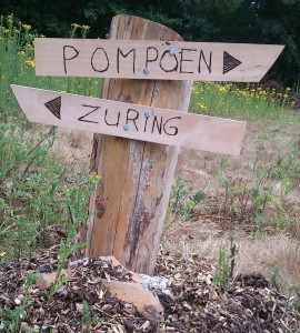 b01_pompoen_zuring